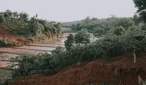 Pesona Desa Wisata Karang Tengah Bantul: Belajar Batik, Berburu Kuliner, hingga Menyapa Ribuan Pohon Mete