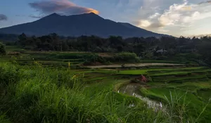 Misteri Dewi Sri: Dari Telur Sakral hingga Jelmaan Ular Sawah, Inilah Legenda Kesuburan yang Masih Dipercaya Petani Jawa