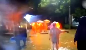 Jember Siaga, Debit Air Sungai Meluap Jembatan di Desa Jubung Putus Diterjang Banjir