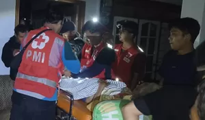 Hujan Deras Picu Banjir Luapan Sungai di Jember, PMI Evakuasi Ratusan Warga Rowotamtu hingga Tengah Malam