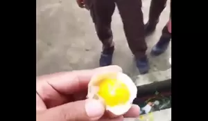 Viral Menu MBG di SDN Kampung Pajak, Siswa Dapat Telur Setengah Matang dan Tuai Sorotan