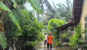  Jember Tetapkan Status Tanggap Darurat Bencana Banjir Bandang hingga 26 Februari 2026