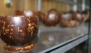 Kampoeng Bathok Santan Yogyakarta: Surga Kerajinan Tempurung Kelapa dan Wisata Kuliner Wader Goreng yang Menggoda