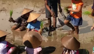 Rahasia Popularitas Desa Wisata Brayut Yogyakarta, Desa Tanpa Panorama Alam yang Justru Jadi Ikon Wisata Edukasi