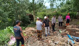Puluhan Pohon Tumbang dan Rumah Warga Ambruk di Dua Kecamatan, BPBD Jember Salurkan Bantuan