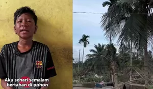 Bertahan Sehari Semalam di Pohon Kelapa Tanpa Makan dan Minum, Kisah Reza Penyintas Banjir Aceh Ini Menggetarkan