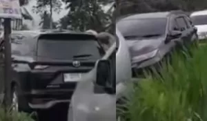 Jembatan Nangkaan Ambrol, Jalur Utama Bondowoso-Jember Lumpuh Total hingga Kemacetan Mengular