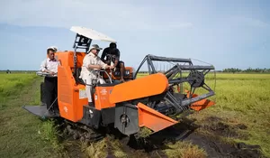 Prabowo Kunker Perdana ke Merauke, Disambut Antusias Ribuan Warga Papua