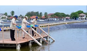 Tinjau Kawasan BLUPPB Karawang, Presiden Prabowo Dorong Pengembangan Budidaya Ikan Nila Salin Untuk Perkuat Ketahanan Pangan Nasional