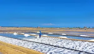 Potensi Ekonomi Garam Indonesia Capai Rp4,14 T
