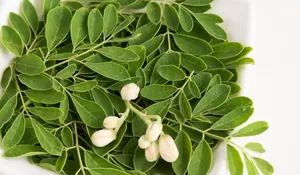 Jangan Asal! Ini Manfaat dan Risiko Konsumsi Kelor untuk Kesehatan