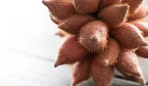 7 Manfaat Buah Salak bagi Kesehatan, Si Buah Eksotis dengan Segudang Khasiat
