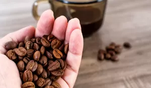 Dampak Positif dan Negatif Kafein Terhadap Kesehatan Tubuh yang Jarang Diketahui