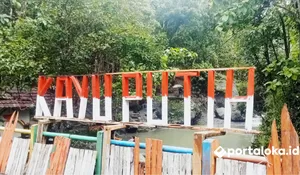 Wisata Alam Kayu Putih Ciamis, Sunyi Tapi Menantang Adrenalin