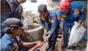 Dramatis, Damkar Klaten Evakuasi Biawak Nyemplung Sumur di Prambanan