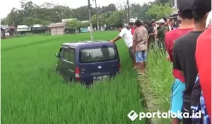 Diduga Sopir Mengantuk, Mobil Masuk Sawah di Trucuk Klaten, Evakuasi Kendaraan Kerahkan 30 Orang