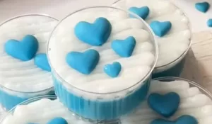 Cara Membuat Bubble Gum Pudding Manis Legit Segar, Bisa Jadi Resep Kesukaan Si Kecil Yang Sehat