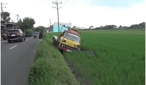 Sopir Mengantuk, Truk Masuk ke Sawah Terguling di Juwiring Klaten, Begini Kondisi Sopir dan Kernetnya