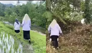 Viral Perjuangan Guru di Padang Pariaman saat akan Mengunjungi Rumah Siswa, Jalan Lewati Pematang Sawah hingga Naik Bukit