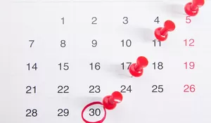 Catat! Ini Jadwal Libur dan WFA Lebaran 2026, PNS dan PPPK Bisa Mudik Hingga Dua Minggu