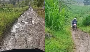 Viral Guru di Grobogan Jawa Tengah Bagikan Jalan Sehari-hari yang Dilewati Menuju Sekolah, Masih Tanah Berlumpur dan Licin