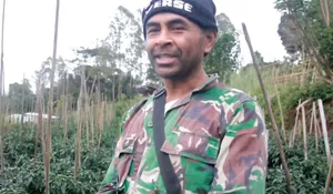 Petani NTT Bersyukur, 3.000 Pohon Buncis Terserap Semua Berkat MBG