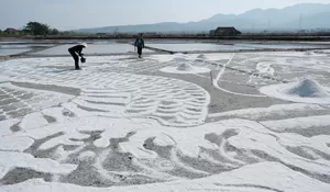 Desa Dasun, Rembang, Raih Apresiasi Desa Budaya 2024 Berkat Kearifan Lokal dan Tradisi Budaya Maritim