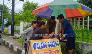 Walang Goreng Belalang Tempur: Sensasi Gurih dan Pedas di Selatan Kecamatan Sulang Rembang