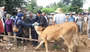 Pasar Hewan Rembang Kembali Beroperasi, Pedagang dan Peternak Optimistis