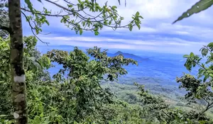 Catatan Perjalanan Seru: Kemping di Gunung Buthak Rembang, Dikelilingi Kabut dan Keindahan Alam