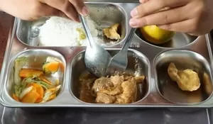 Kepala BGN Klarifikasi soal Serangga dalam Program Makan Bergizi Gratis