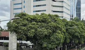 Pemerintah Alihkan Saham Seri B BUMN ke BKI, Krakatau Steel dan BRI Masuk Holding Danantara