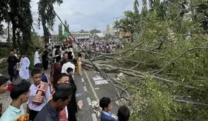 Tragedi Idul Fitri di Pemalang: Pohon Tumbang Timpa Jamaah, Dua Meninggal dan Belasan Luka