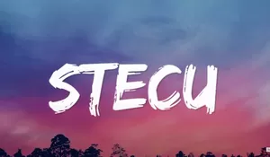 Lagi Viral! Lagu Stecu Stecu Bikin Auto Joget, Ini Arti Liriknya yang Bikin Baper!