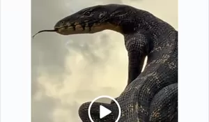 Kisah Rejo Arianto, Pembuat Patung Biawak Wonosobo yang Viral dan Mirip Aslinya