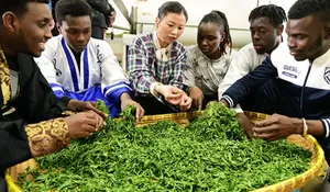 Mengapa China Memasukkan Keterampilan Memasak ke Kurikulum Sekolah?