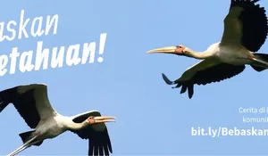 Wikipedia Bahasa Indonesia Rayakan Ulang Tahun ke-22: Apresiasi untuk Para Kontributor Sukarelawan 