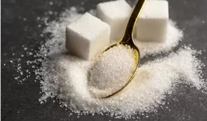 Pemkab Rembang dan Kementan Sepakat Perluas 5.000 Hektare Lahan Tebu Menuju Pendirian Pabrik Gula