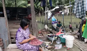 Kisah Haru Ibu Pengupas Bawang di Makassar: Anaknya Kini Bisa Sekolah Gratis di Sekolah Rakyat