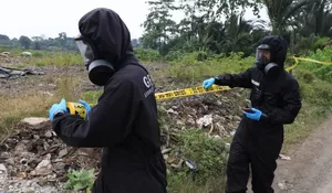 4 Fakta Terkini Paparan Radioaktif di Cikande: Pelaku Industri Udang Cari Solusi Ekspor Kembali ke AS