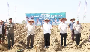 Petani Resah! Bupati Rembang Terima Keluhan Pupuk ZA Langka, Dintanpan Segera Usulkan Tambahan Kuota