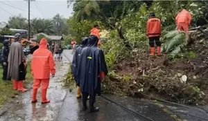 Penanganan Banjir dan Longsor Sumatera Utara, Pratikno Sebut Tim Gabungan Berbagai Kementerian Sudah Bergerak