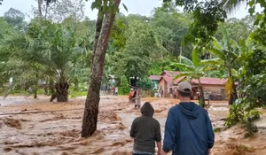 Banjir-Longsor di 3 Negara ASEAN Telan 600 Korban Jiwa: dari Indonesia, Malaysia, hingga Thailand