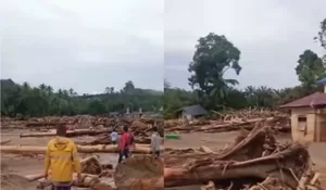 Banjir dan Longsor di Sumatera, WALHI Soroti Hilangnya Hutan karena Negara yang Gampang Beri Izin Penggunaan Lahan