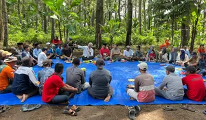 Ganjar Hadiri Penanaman Perdana Pisang Cavendish di Banyuwangi, KTH Green Bayu Mandiri Bangun Sentra Baru