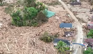 Tumpukan Kayu di Hulu Garoga Ungkap Beragam Jejak, dari Longsor hingga Dugaan Land Clearing