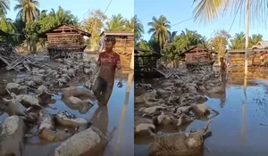 Di Balik Bencana Banjir Aceh, Ada Pilu Peternak saat Melihat Puluhan Bangkai Kambingnya Tergeletak dalam Kubangan Lumpur