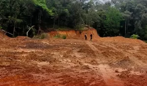 Hutan Lindung Gowa Digunduli Diam-diam, Ancaman DAS Jeneberang Mengalir ke Makassar