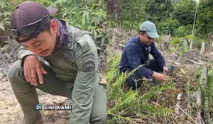 Saat Hutan Lindung di Sumatera Dibayangi Sabotase: TN Tesso Nilo Temukan Ranjau Paku yang Bertebaran di Area Jalan Gajah