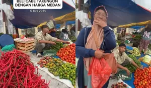 Harga Cabe Anjlok Pascabanjir, Influencer Amien Ashal Borong Cabe Takengon Pakai Harga Medan